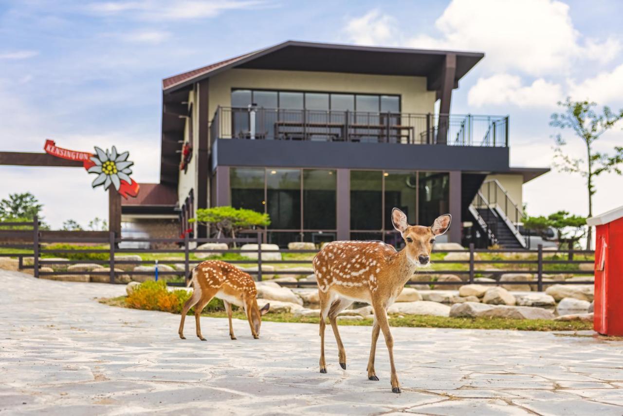 Kensington Resort Seorak Valley Sokcho Buitenkant foto