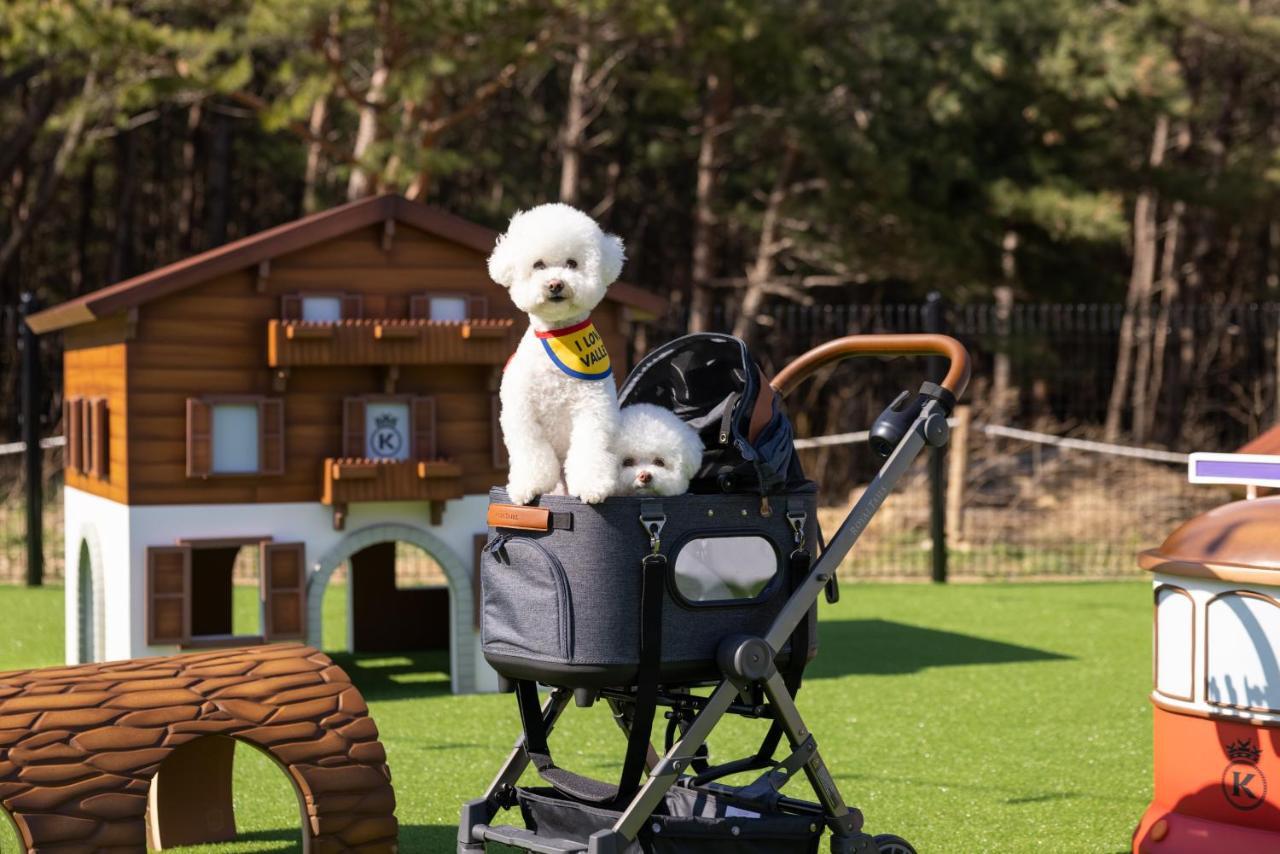 Kensington Resort Seorak Valley Sokcho Buitenkant foto