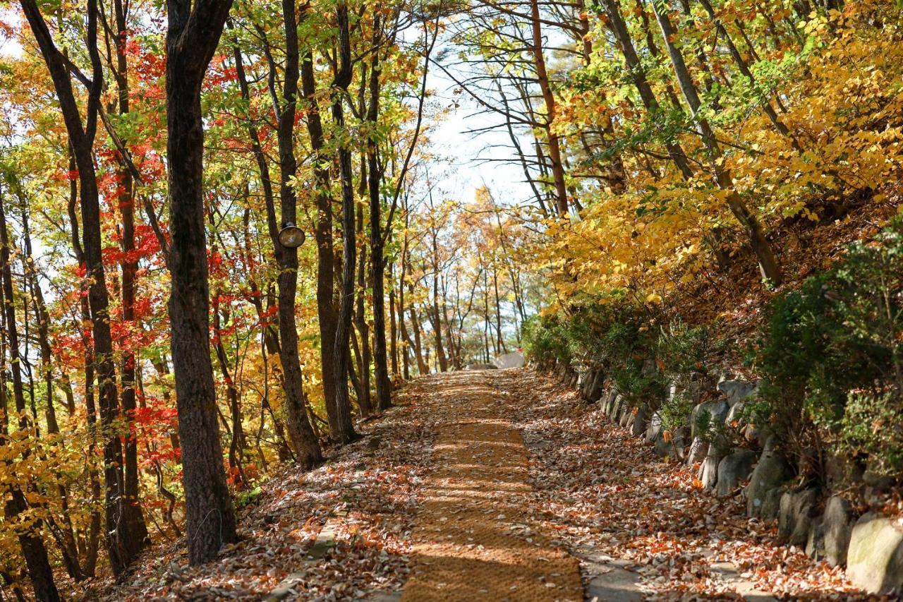 Kensington Resort Seorak Valley Sokcho Buitenkant foto